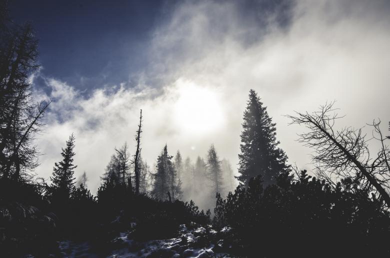 Free stock image of Nature created by Unsplash