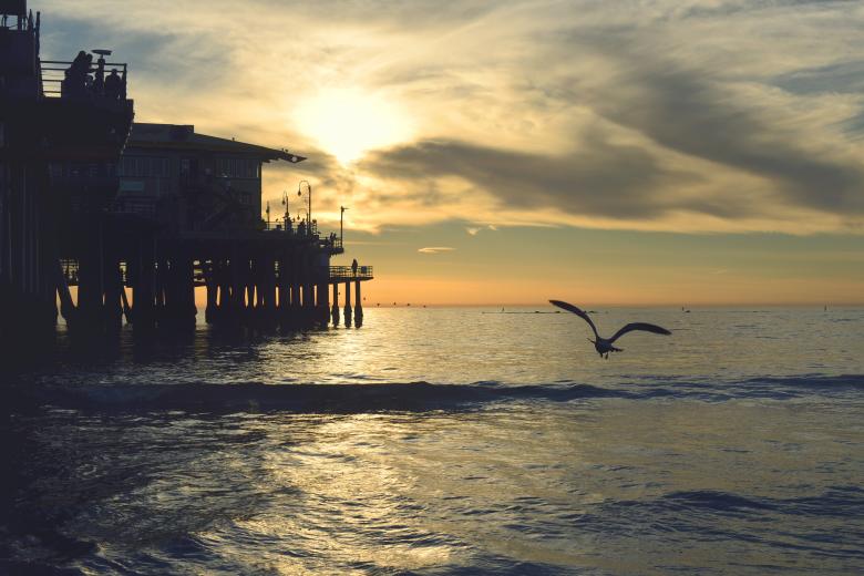 Free stock image of On the Beach created by Unsplash