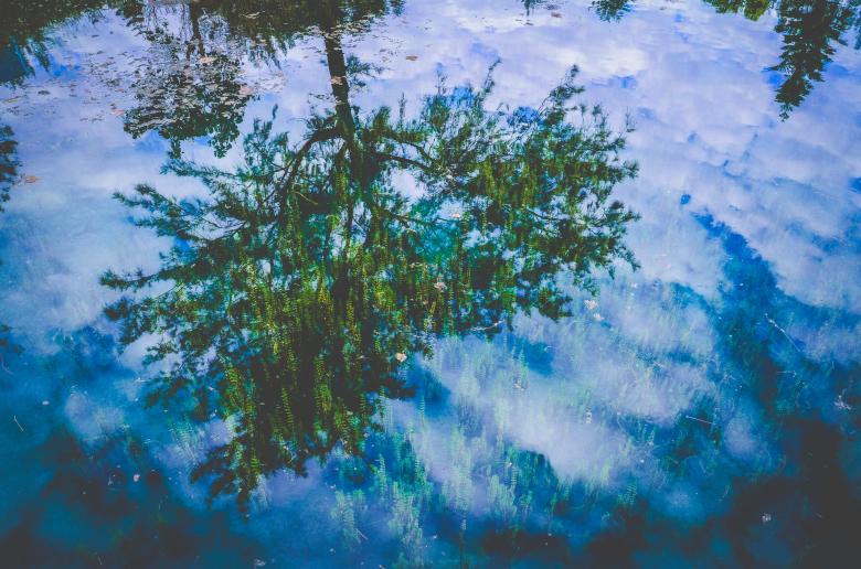 Free stock image of Mirror created by Unsplash
