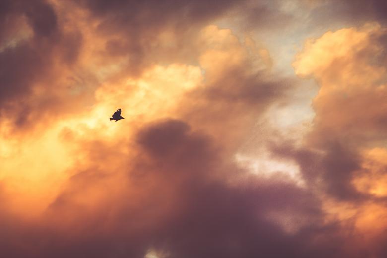 Free stock image of Cloudy created by Unsplash