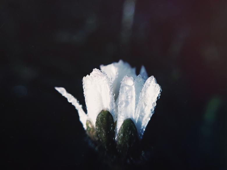 Free stock image of Nature created by Unsplash