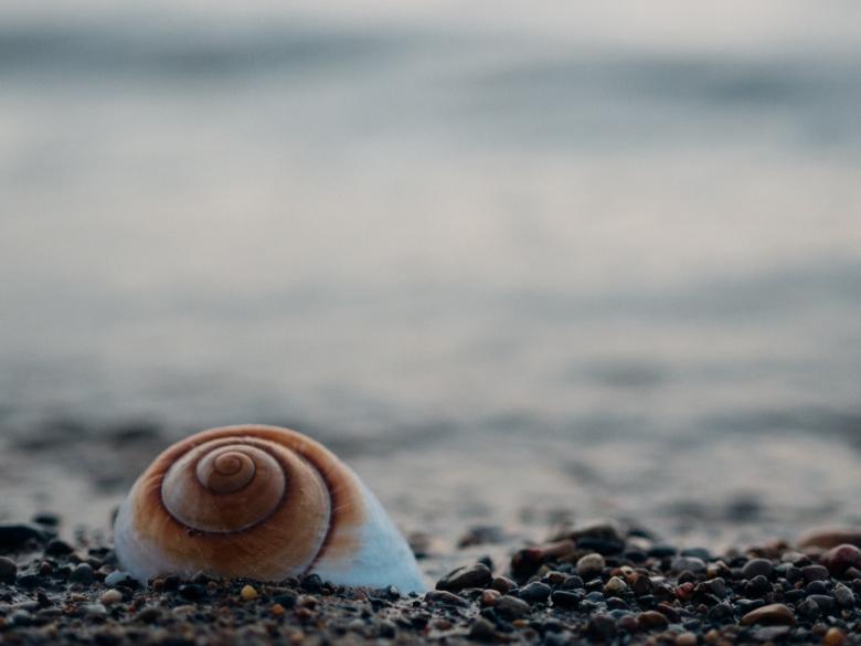 Free stock image of Shore created by Unsplash