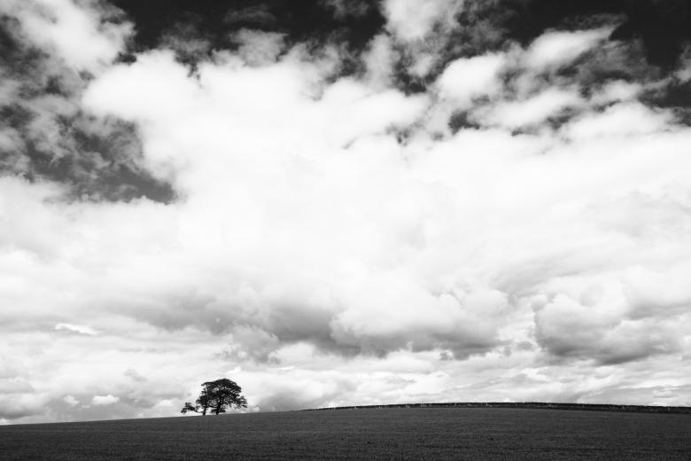Free stock image of Cloudy created by Unsplash