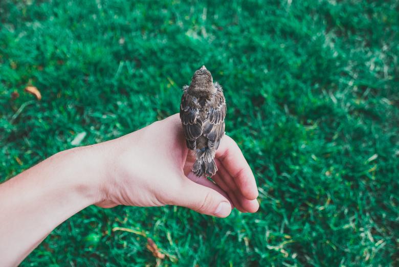 Free stock image of Stay created by Unsplash