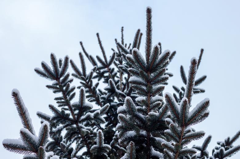 Free stock image of Winter created by Unsplash