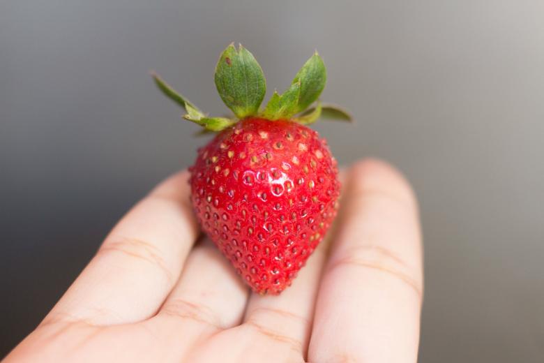 Free stock image of Strawberry created by Unsplash