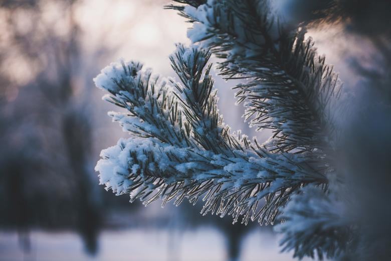 Free stock image of Covered with snow created by Unsplash