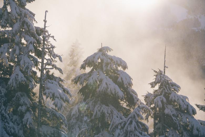 Free stock image of Winter created by Unsplash