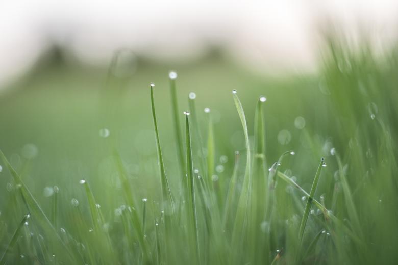 Free stock image of Drops created by Life of Pix