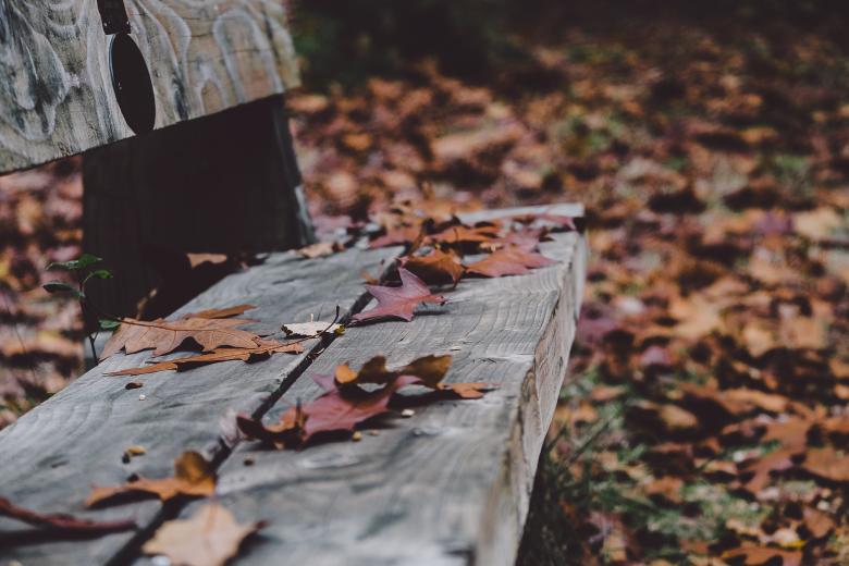 Free stock image of Bench created by Life of Pix