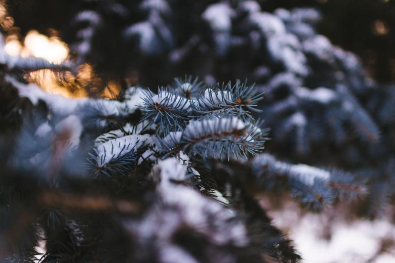 Free stock image of Frozen created by Unsplash