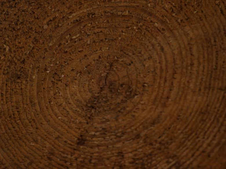 Free stock image of Wood Texture created by Marko Mäkinen