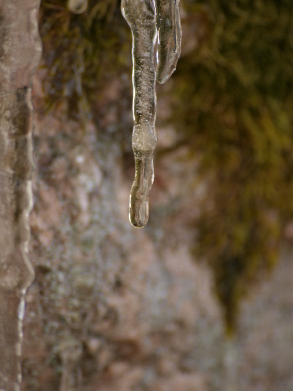 Free stock image of Icicles created by Marko Mäkinen