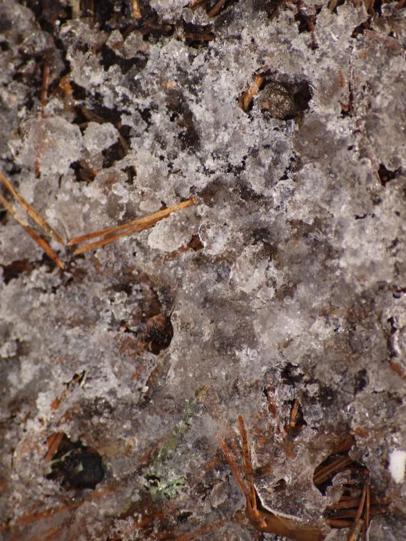 Free stock image of Ice texture created by Marko Mäkinen