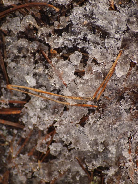 Free stock image of Ice texture created by Marko Mäkinen
