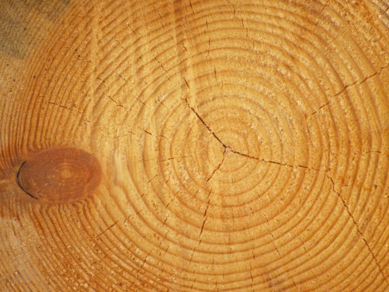 Free stock image of Wood background created by Marko Mäkinen