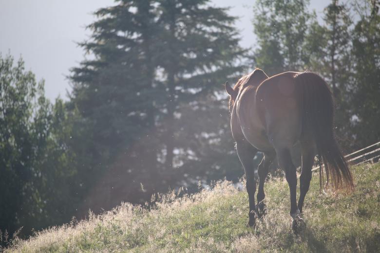 Free stock image of Field created by Unsplash