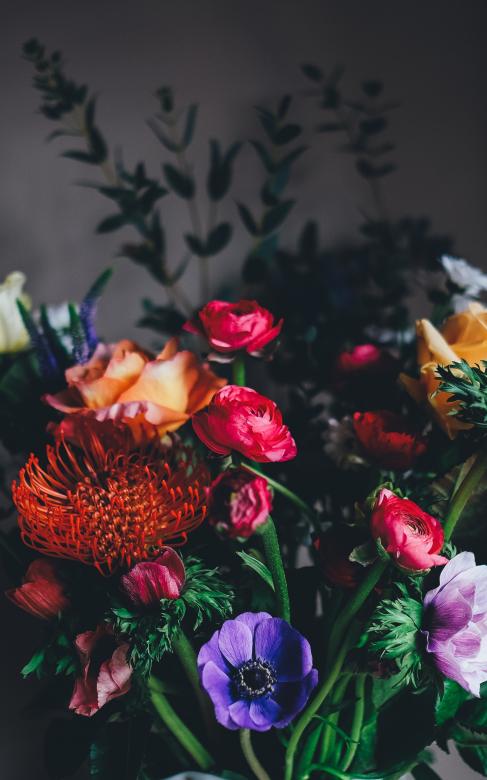 Free stock image of Colorful Flowers created by Unsplash