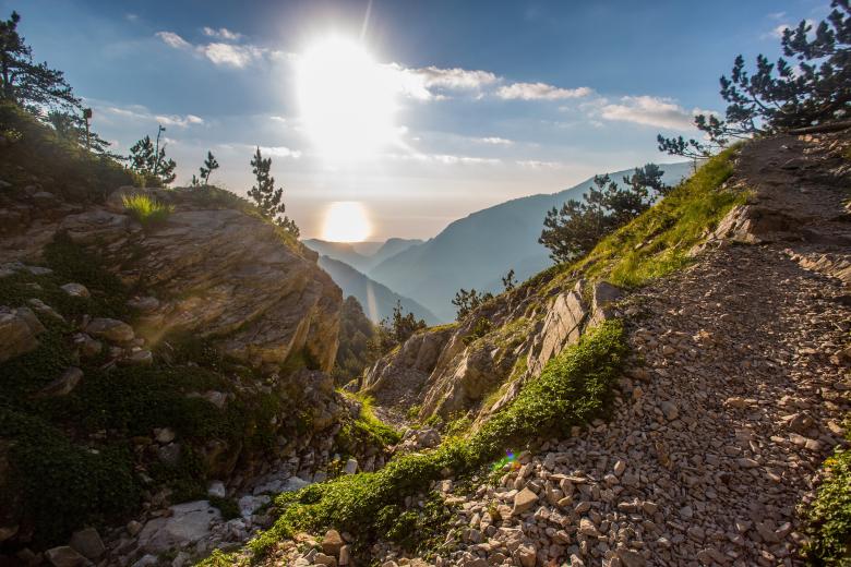 Free stock image of Nature created by Unsplash