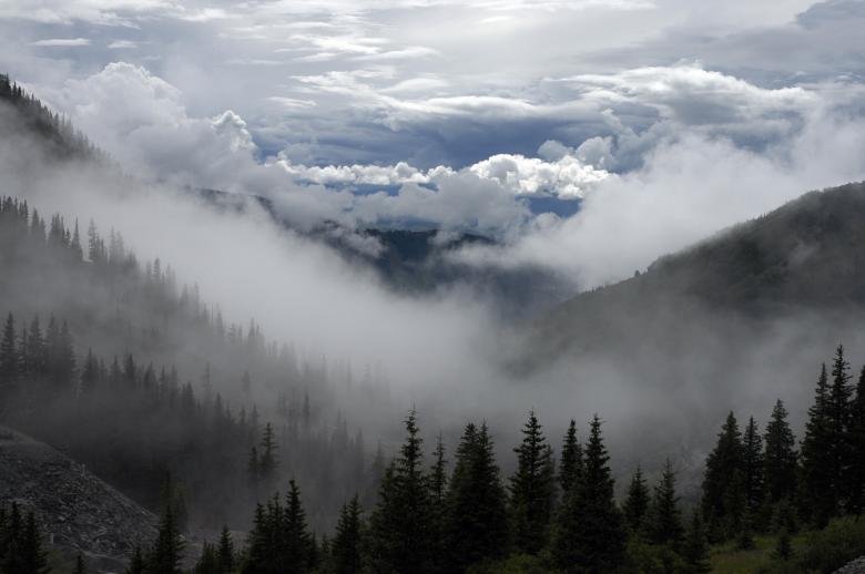 Free stock image of Nature created by Unsplash