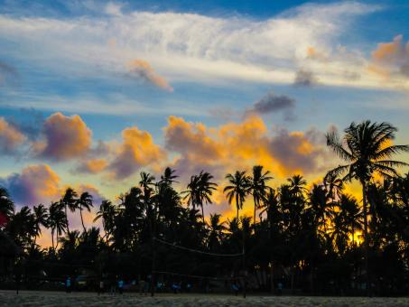 Island