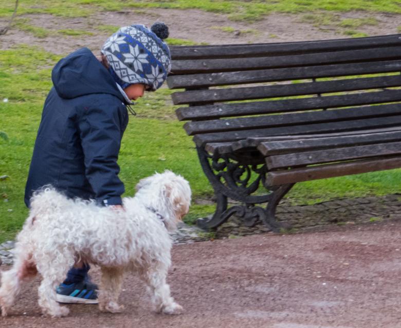 Free stock image of Kid with a puppy dog  created by Janis Urtans