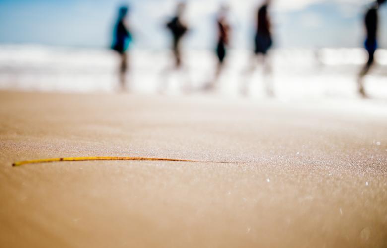Free stock image of Beach created by Negativespace