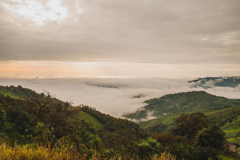 Free stock image of Landscape created by Negativespace