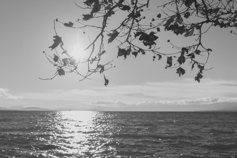 Free stock image of Sea created by Negativespace