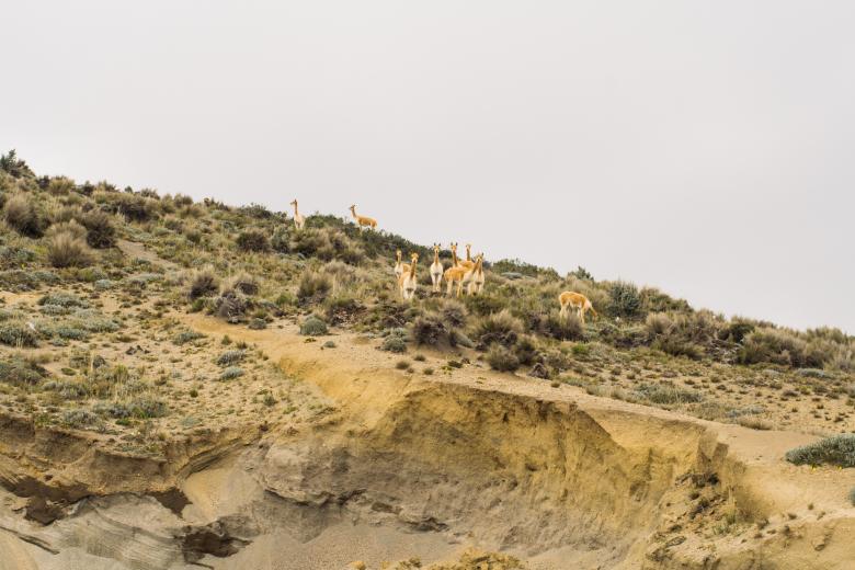 Free stock image of Mountain created by Negativespace