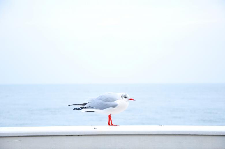 Free stock image of Pose created by Unsplash