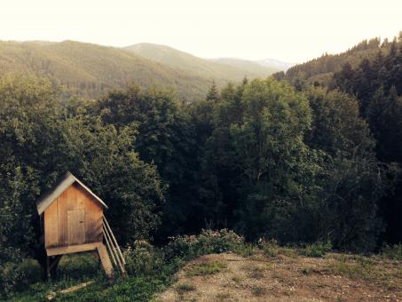 Small House near the Woods - Free Stock Photo