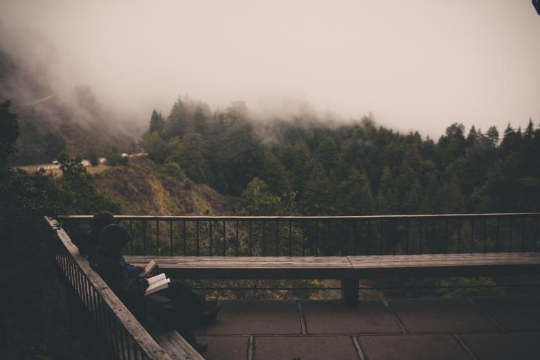 Free stock image of Reading Book created by Unsplash