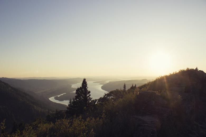 Free stock image of Nature's Design created by Unsplash