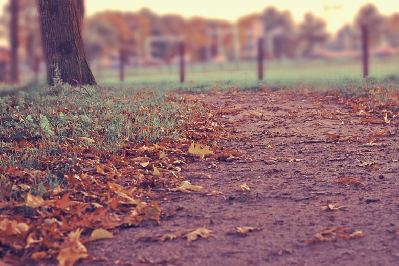 Free stock image of Autumn created by Unsplash