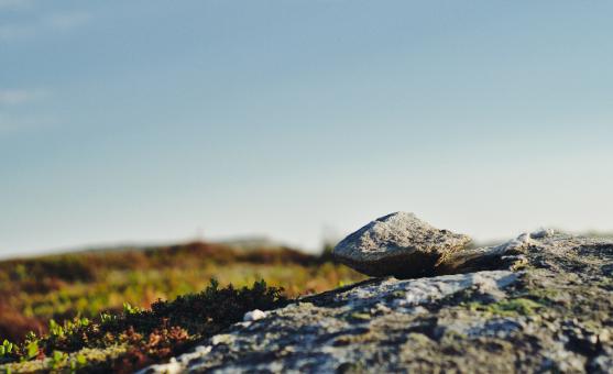 Free Stock Photo of Rocky Landscape