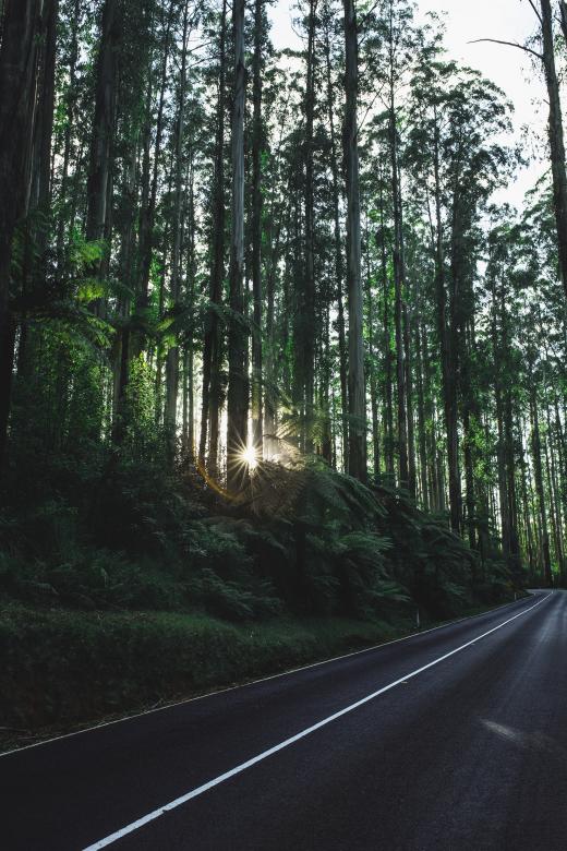 Free stock image of Nature created by Unsplash