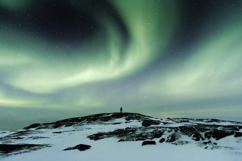 Free stock image of Observing Nature created by Unsplash