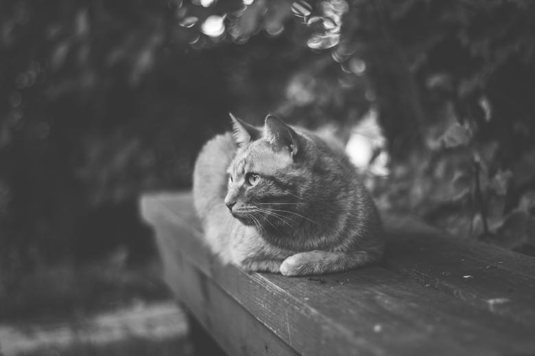 Free stock image of Pose created by Unsplash