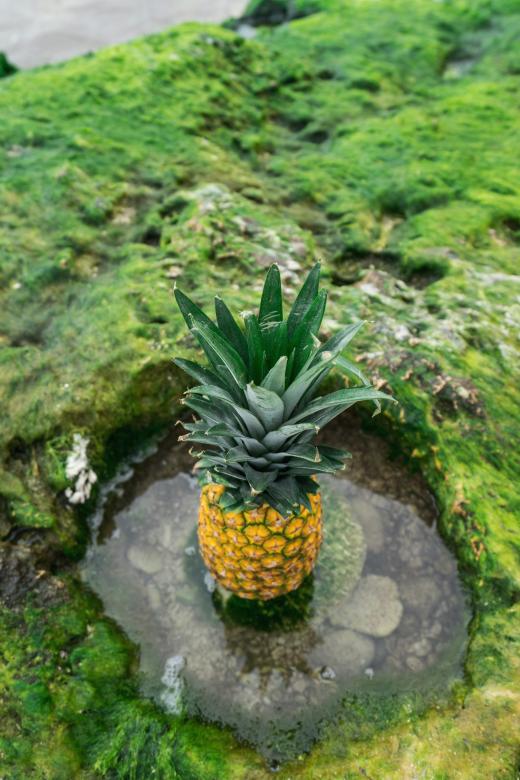 Free stock image of Pineapple created by Unsplash