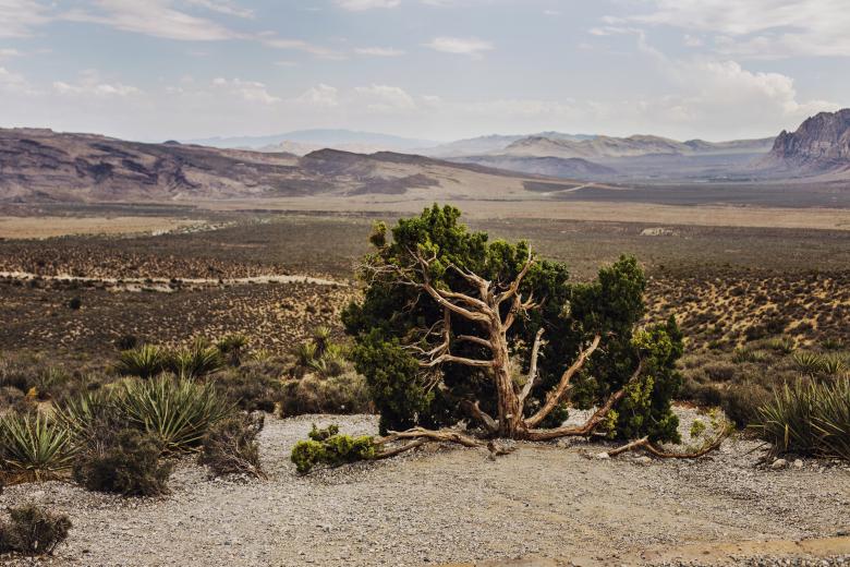 Free stock image of Dry Land created by Unsplash