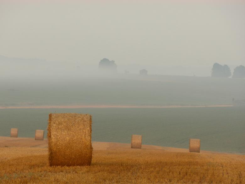 Free stock image of Field created by Unsplash