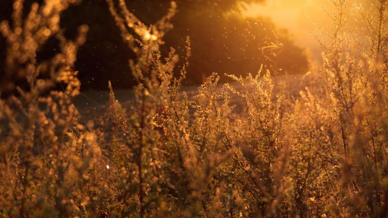 Free stock image of Bright created by Unsplash