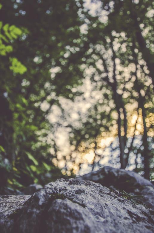 Free stock image of Rocky created by Unsplash