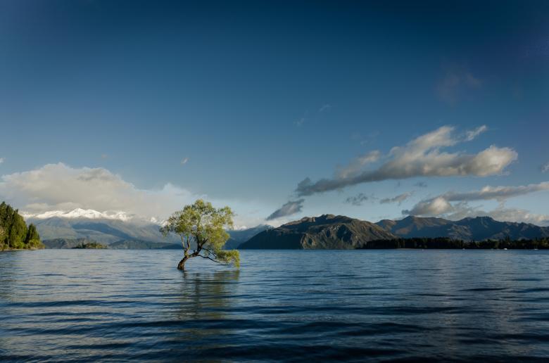 Free stock image of Nature created by Unsplash