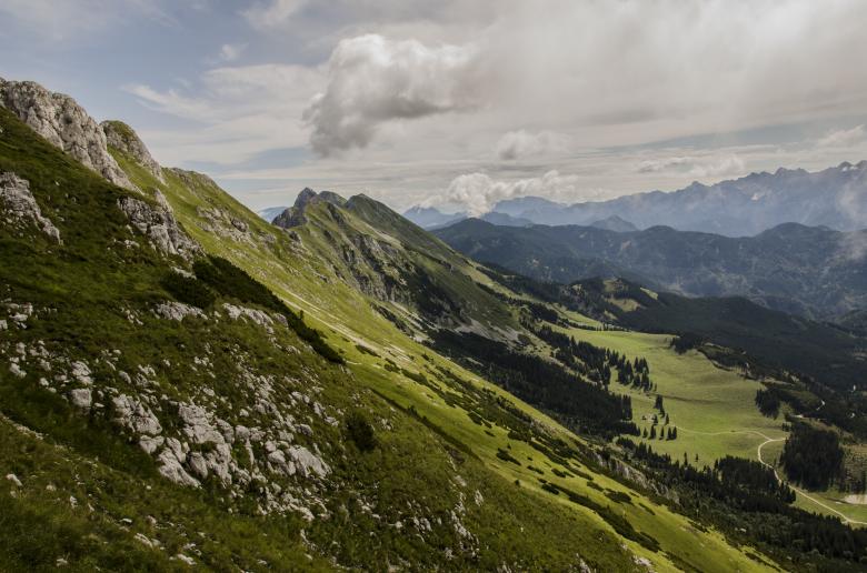 Free stock image of Green created by Unsplash