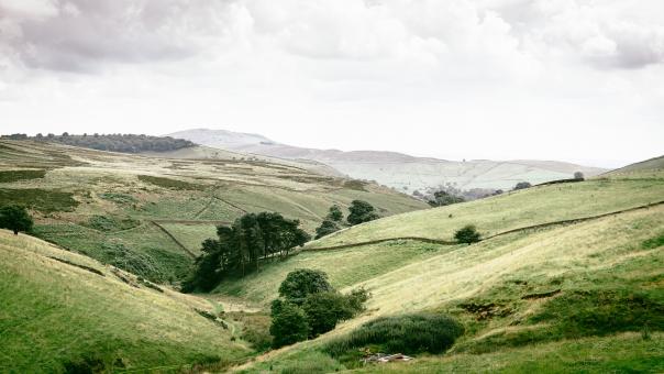 Landscape - Free Stock Photo
