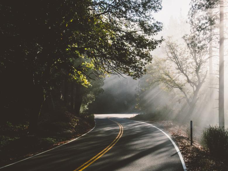 Free stock image of Road In The Forest created by StockSnap