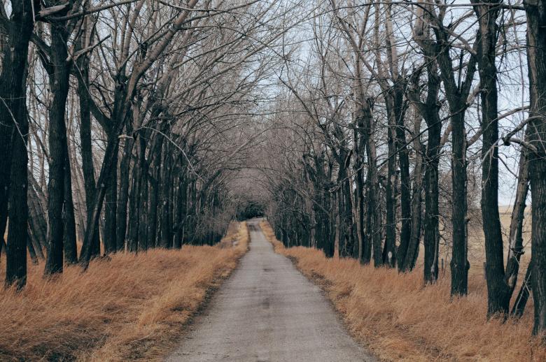 Free stock image of Road created by StockSnap