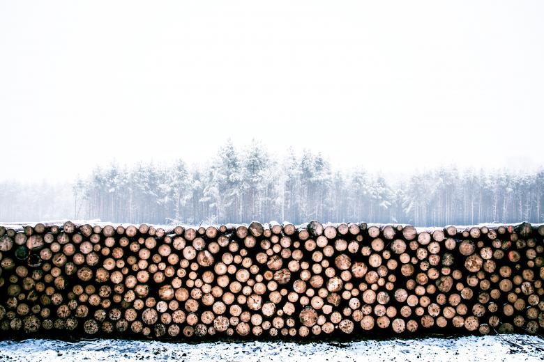 Free stock image of Logs created by StockSnap